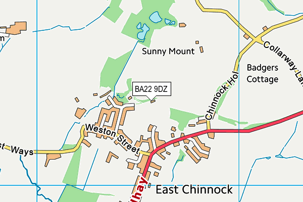 BA22 9DZ map - OS VectorMap District (Ordnance Survey) BA22 9DZ map - OS VectorMap District (Ordnance Survey)