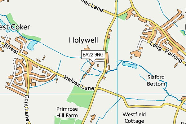 BA22 9NG map - OS VectorMap District (Ordnance Survey) BA22 9NG map - OS VectorMap District (Ordnance Survey)