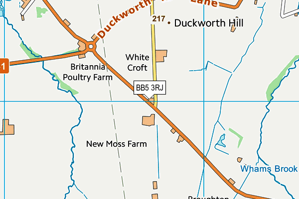 BB5 3RJ map - OS VectorMap District (Ordnance Survey) BB5 3RJ map - OS VectorMap District (Ordnance Survey)