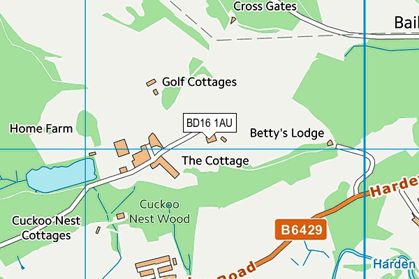 BD16 1AU map - OS VectorMap District (Ordnance Survey) BD16 1AU map - OS VectorMap District (Ordnance Survey)