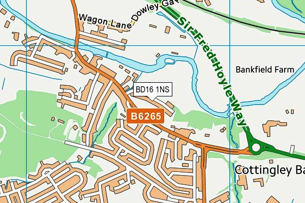 BD16 1NS map - OS VectorMap District (Ordnance Survey) BD16 1NS map - OS VectorMap District (Ordnance Survey)