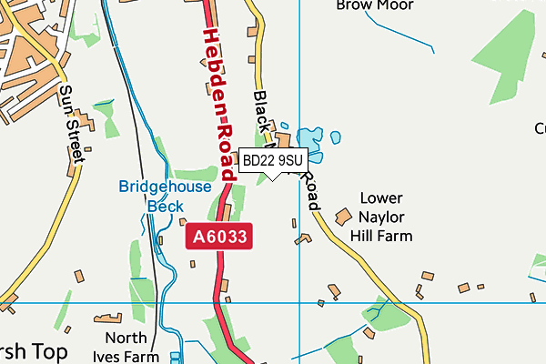 BD22 9SU map - OS VectorMap District (Ordnance Survey) BD22 9SU map - OS VectorMap District (Ordnance Survey)