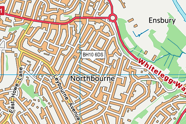 BH10 6DS map - OS VectorMap District (Ordnance Survey) BH10 6DS map - OS VectorMap District (Ordnance Survey)