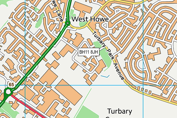 BH11 8JH map - OS VectorMap District (Ordnance Survey)