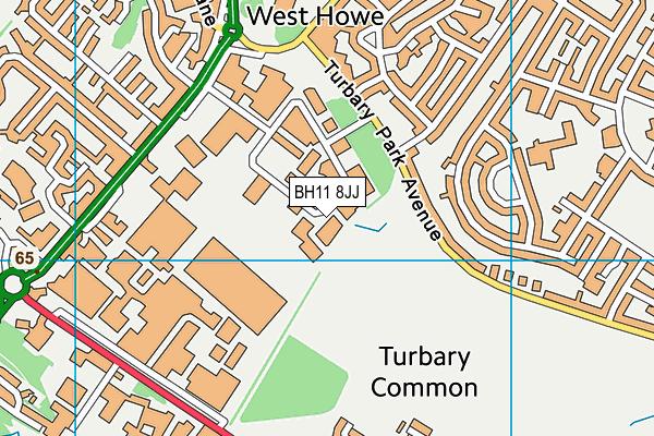 BH11 8JJ map - OS VectorMap District (Ordnance Survey)