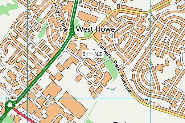 BH11 8LZ map - OS VectorMap District (Ordnance Survey)