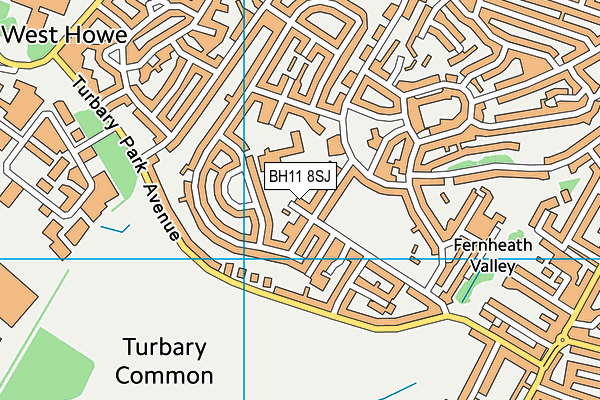 BH11 8SJ map - OS VectorMap District (Ordnance Survey) BH11 8SJ map - OS VectorMap District (Ordnance Survey)