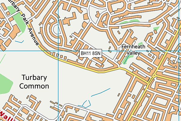 BH11 8SN map - OS VectorMap District (Ordnance Survey)
