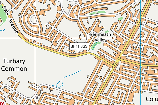 BH11 8SS map - OS VectorMap District (Ordnance Survey) BH11 8SS map - OS VectorMap District (Ordnance Survey)