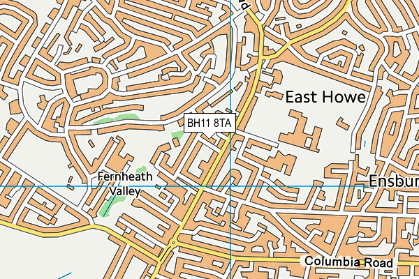 BH11 8TA map - OS VectorMap District (Ordnance Survey) BH11 8TA map - OS VectorMap District (Ordnance Survey)