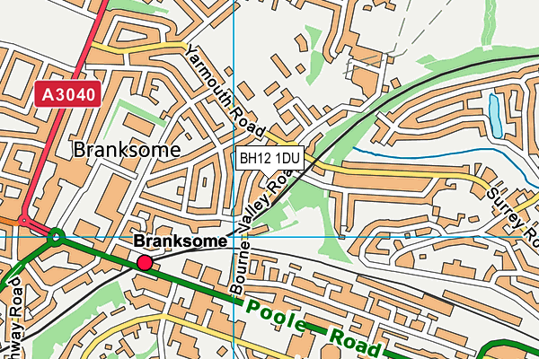 BH12 1DU map - OS VectorMap District (Ordnance Survey)