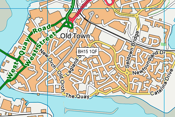BH15 1QF map - OS VectorMap District (Ordnance Survey) BH15 1QF map - OS VectorMap District (Ordnance Survey)