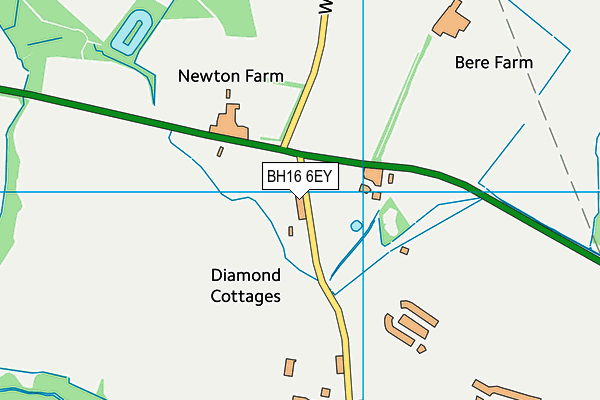 BH16 6EY map - OS VectorMap District (Ordnance Survey) BH16 6EY map - OS VectorMap District (Ordnance Survey)