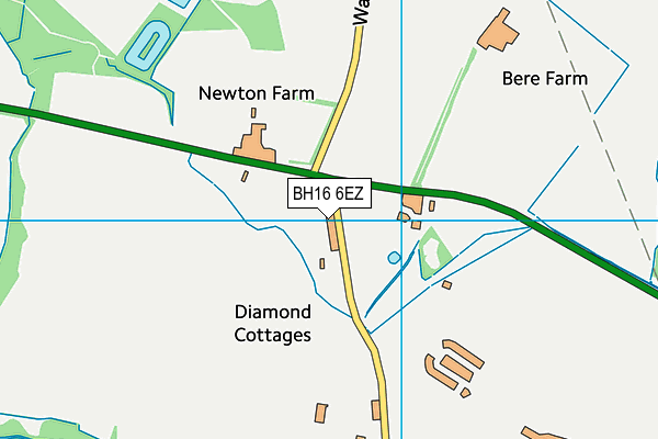 BH16 6EZ map - OS VectorMap District (Ordnance Survey) BH16 6EZ map - OS VectorMap District (Ordnance Survey)