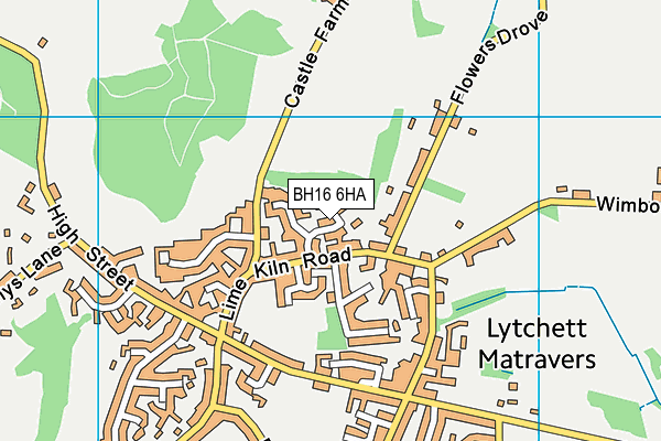 BH16 6HA map - OS VectorMap District (Ordnance Survey) BH16 6HA map - OS VectorMap District (Ordnance Survey)