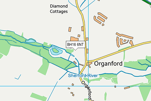 BH16 6NT map - OS VectorMap District (Ordnance Survey) BH16 6NT map - OS VectorMap District (Ordnance Survey)