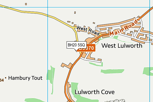 BH20 5SQ map - OS VectorMap District (Ordnance Survey) BH20 5SQ map - OS VectorMap District (Ordnance Survey)