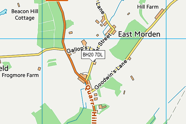 BH20 7DL map - OS VectorMap District (Ordnance Survey) BH20 7DL map - OS VectorMap District (Ordnance Survey)