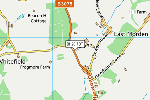 BH20 7DT map - OS VectorMap District (Ordnance Survey) BH20 7DT map - OS VectorMap District (Ordnance Survey)