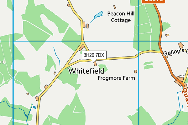 BH20 7DX map - OS VectorMap District (Ordnance Survey) BH20 7DX map - OS VectorMap District (Ordnance Survey)