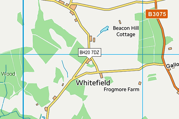 BH20 7DZ map - OS VectorMap District (Ordnance Survey)