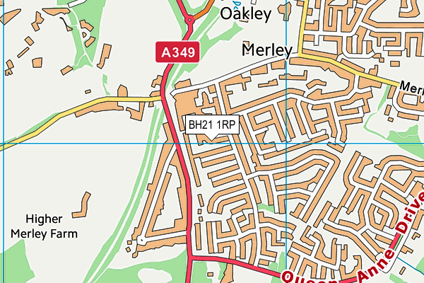 BH21 1RP map - OS VectorMap District (Ordnance Survey) BH21 1RP map - OS VectorMap District (Ordnance Survey)