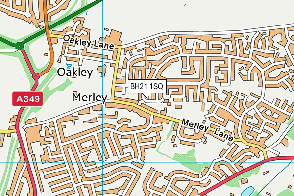 BH21 1SQ map - OS VectorMap District (Ordnance Survey) BH21 1SQ map - OS VectorMap District (Ordnance Survey)