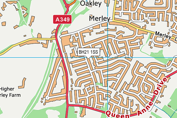 BH21 1SS map - OS VectorMap District (Ordnance Survey) BH21 1SS map - OS VectorMap District (Ordnance Survey)