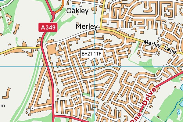 BH21 1TF map - OS VectorMap District (Ordnance Survey) BH21 1TF map - OS VectorMap District (Ordnance Survey)