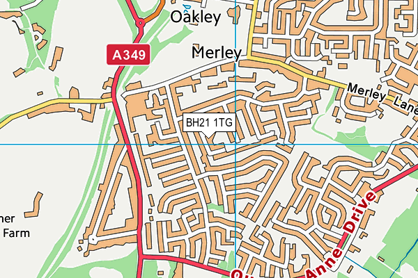 BH21 1TG map - OS VectorMap District (Ordnance Survey) BH21 1TG map - OS VectorMap District (Ordnance Survey)