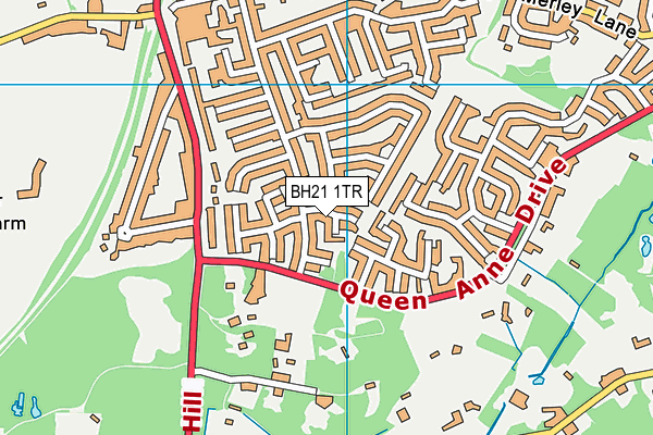 BH21 1TR map - OS VectorMap District (Ordnance Survey) BH21 1TR map - OS VectorMap District (Ordnance Survey)