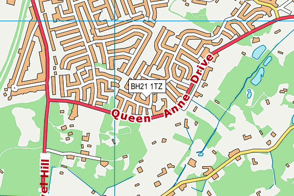 BH21 1TZ map - OS VectorMap District (Ordnance Survey) BH21 1TZ map - OS VectorMap District (Ordnance Survey)