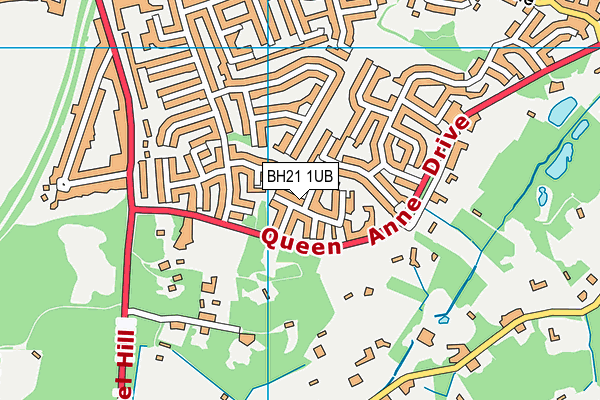 BH21 1UB map - OS VectorMap District (Ordnance Survey) BH21 1UB map - OS VectorMap District (Ordnance Survey)