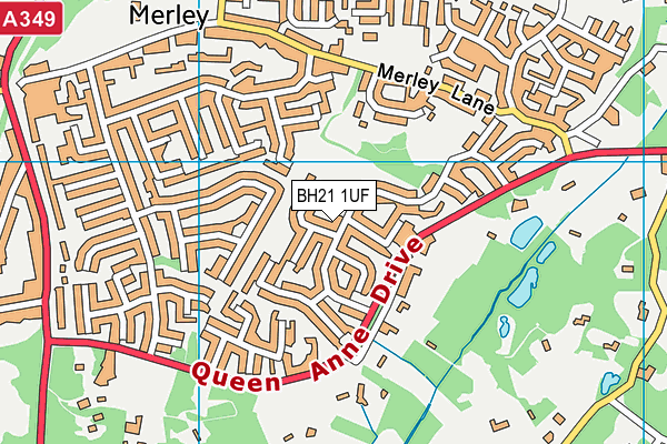 BH21 1UF map - OS VectorMap District (Ordnance Survey) BH21 1UF map - OS VectorMap District (Ordnance Survey)