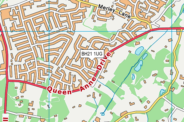 BH21 1UG map - OS VectorMap District (Ordnance Survey) BH21 1UG map - OS VectorMap District (Ordnance Survey)