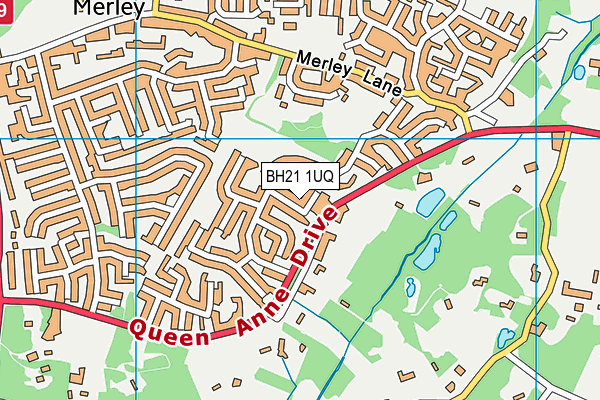 BH21 1UQ map - OS VectorMap District (Ordnance Survey) BH21 1UQ map - OS VectorMap District (Ordnance Survey)