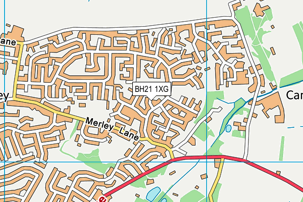 BH21 1XG map - OS VectorMap District (Ordnance Survey) BH21 1XG map - OS VectorMap District (Ordnance Survey)