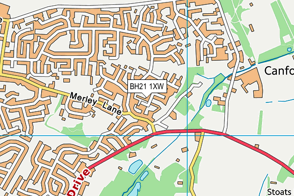 BH21 1XW map - OS VectorMap District (Ordnance Survey) BH21 1XW map - OS VectorMap District (Ordnance Survey)