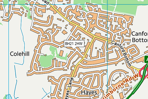 BH21 2HW map - OS VectorMap District (Ordnance Survey) BH21 2HW map - OS VectorMap District (Ordnance Survey)