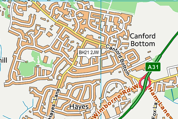 BH21 2JW map - OS VectorMap District (Ordnance Survey) BH21 2JW map - OS VectorMap District (Ordnance Survey)