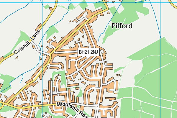 BH21 2NJ map - OS VectorMap District (Ordnance Survey) BH21 2NJ map - OS VectorMap District (Ordnance Survey)