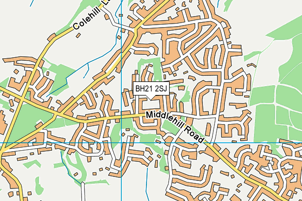 BH21 2SJ map - OS VectorMap District (Ordnance Survey) BH21 2SJ map - OS VectorMap District (Ordnance Survey)