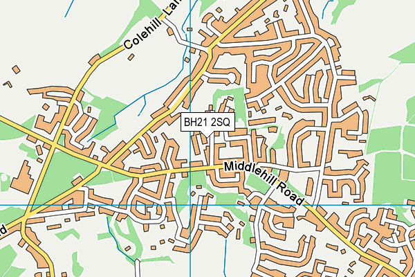 BH21 2SQ map - OS VectorMap District (Ordnance Survey) BH21 2SQ map - OS VectorMap District (Ordnance Survey)