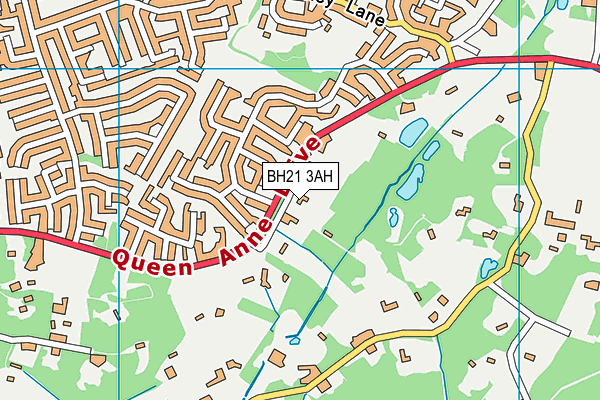 BH21 3AH map - OS VectorMap District (Ordnance Survey) BH21 3AH map - OS VectorMap District (Ordnance Survey)