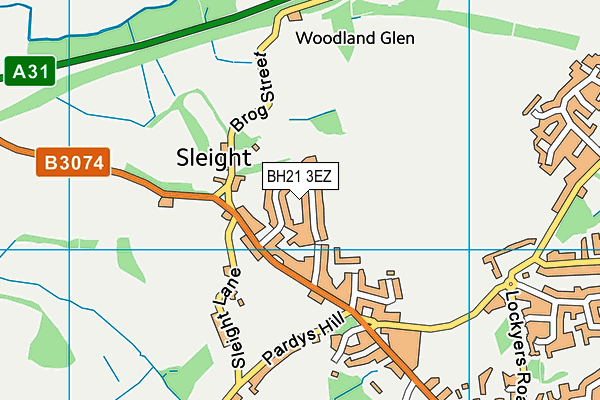 BH21 3EZ map - OS VectorMap District (Ordnance Survey)