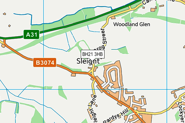 BH21 3HB map - OS VectorMap District (Ordnance Survey) BH21 3HB map - OS VectorMap District (Ordnance Survey)