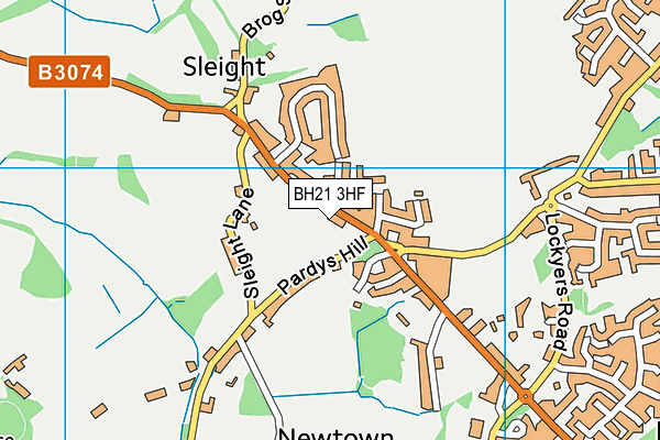 BH21 3HF map - OS VectorMap District (Ordnance Survey) BH21 3HF map - OS VectorMap District (Ordnance Survey)