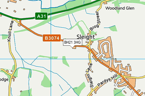 BH21 3HG map - OS VectorMap District (Ordnance Survey) BH21 3HG map - OS VectorMap District (Ordnance Survey)