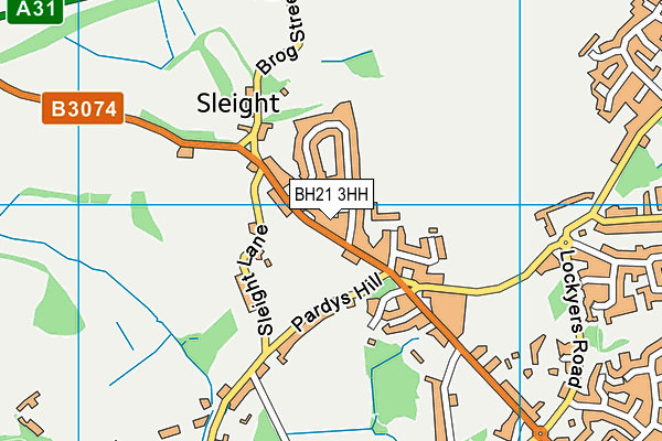 BH21 3HH map - OS VectorMap District (Ordnance Survey) BH21 3HH map - OS VectorMap District (Ordnance Survey)