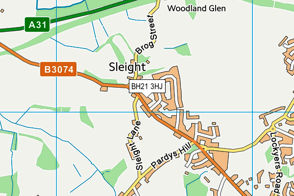 BH21 3HJ map - OS VectorMap District (Ordnance Survey) BH21 3HJ map - OS VectorMap District (Ordnance Survey)